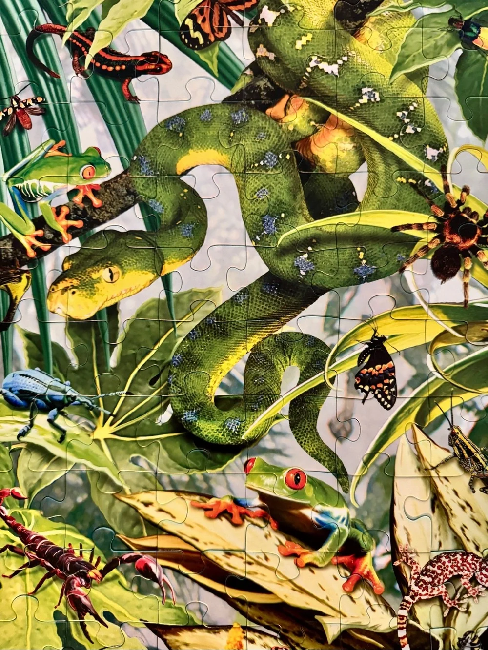 EUC Ravensburger 60-piece puzzle featuring a snake, frog, jungle…